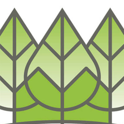 Stylized green leaves arranged in a symmetrical pattern.